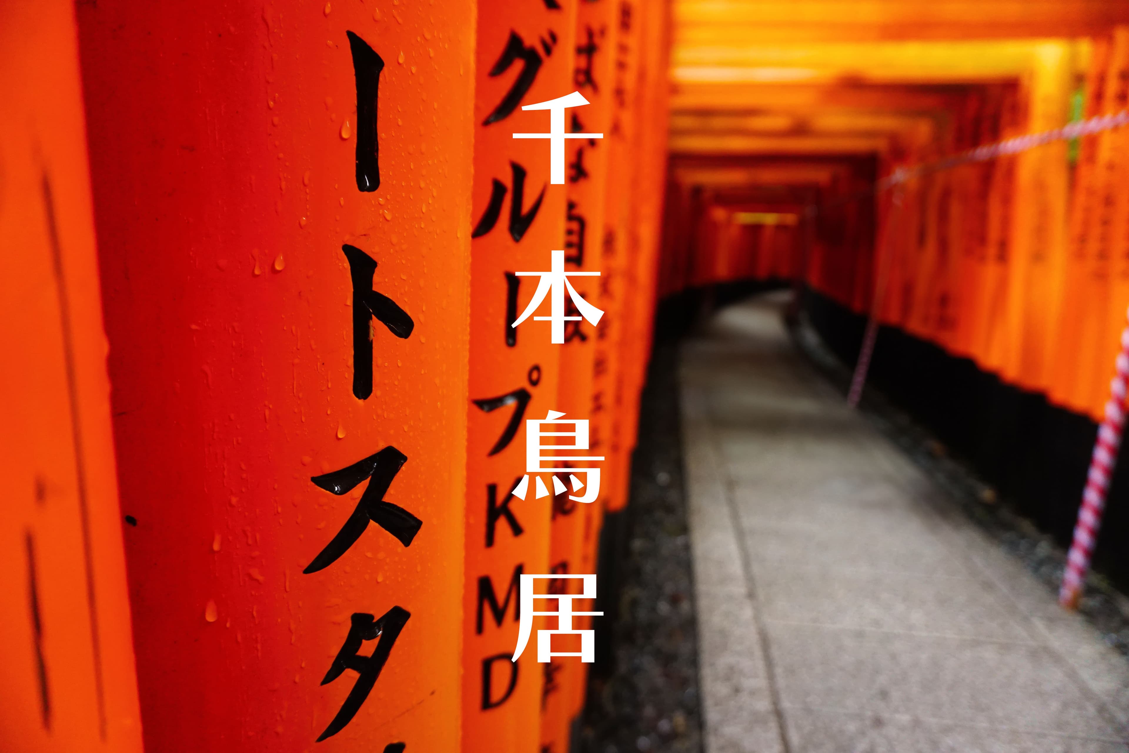 Photography - Memoirs of a Geisha