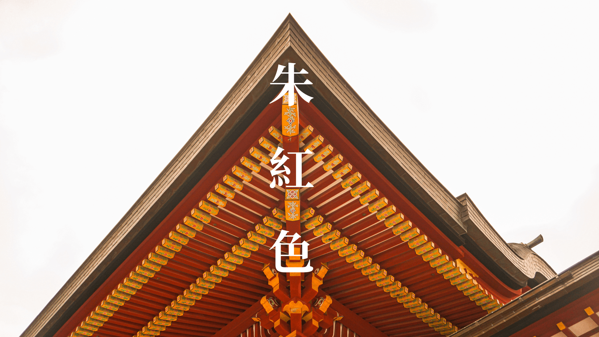 Photography - Vermilion