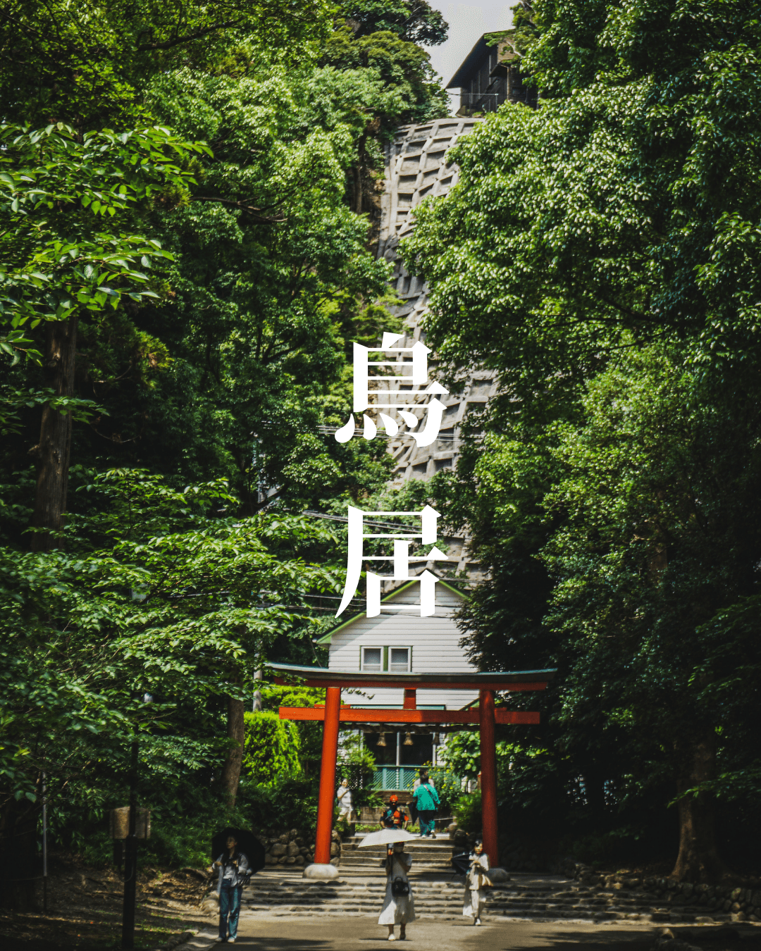 Photography - Torii