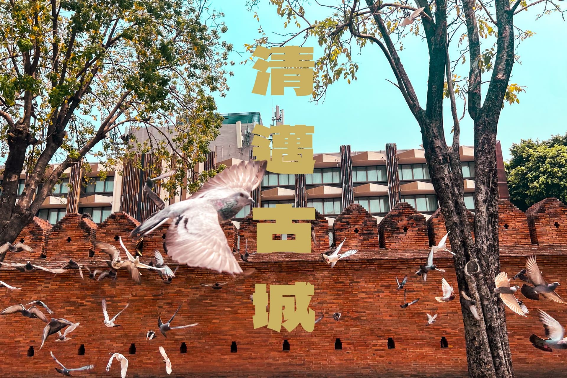 Photography - Chiang Mai Old Town