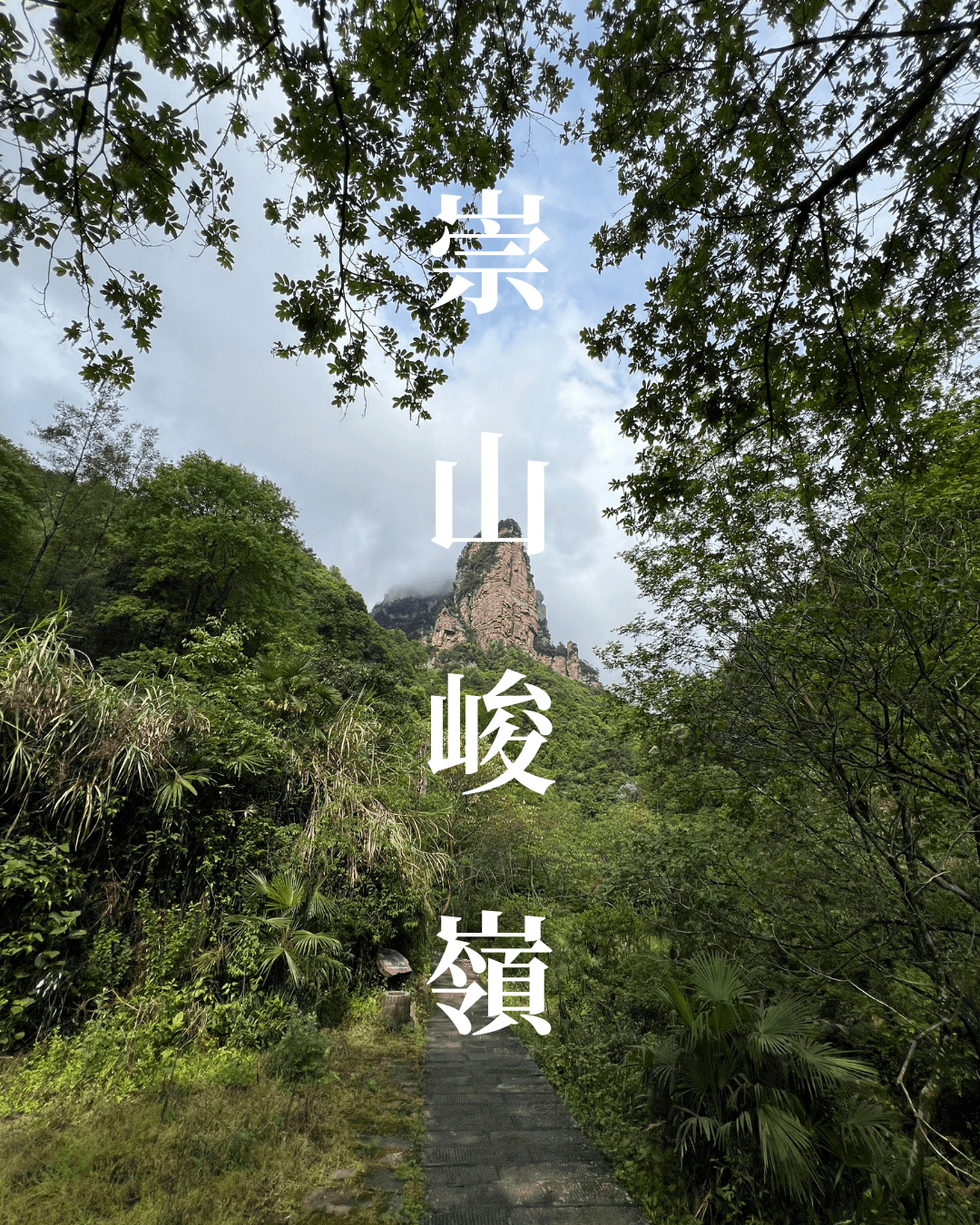 Photography - Towering Mountains