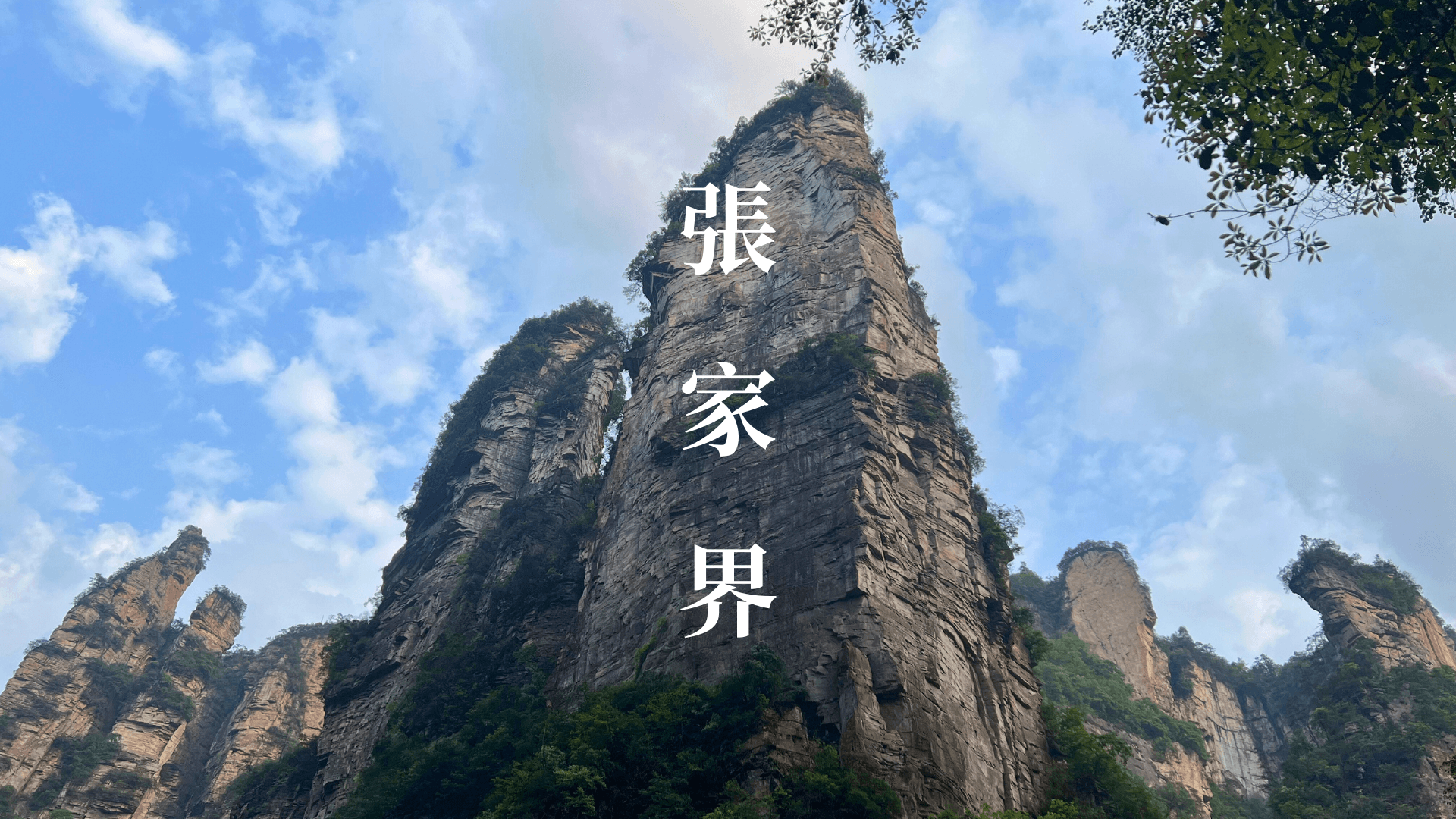 Photography - Zhangjiajie National Forest Park