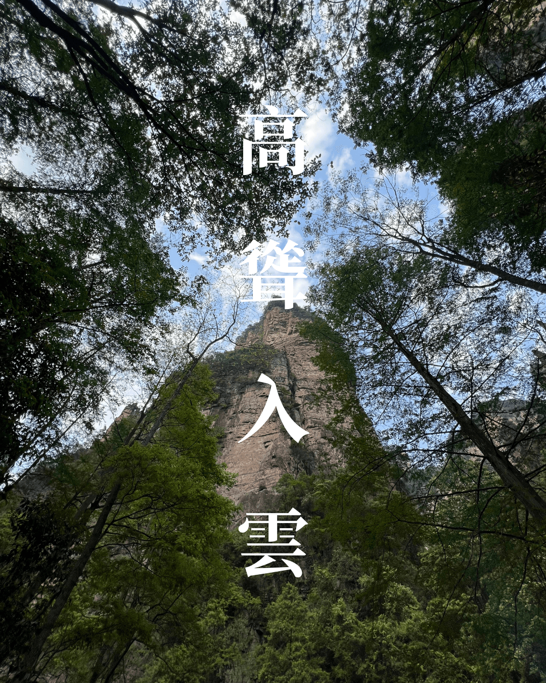 Photography - Towering Into The Clouds - Golden Whip Stream